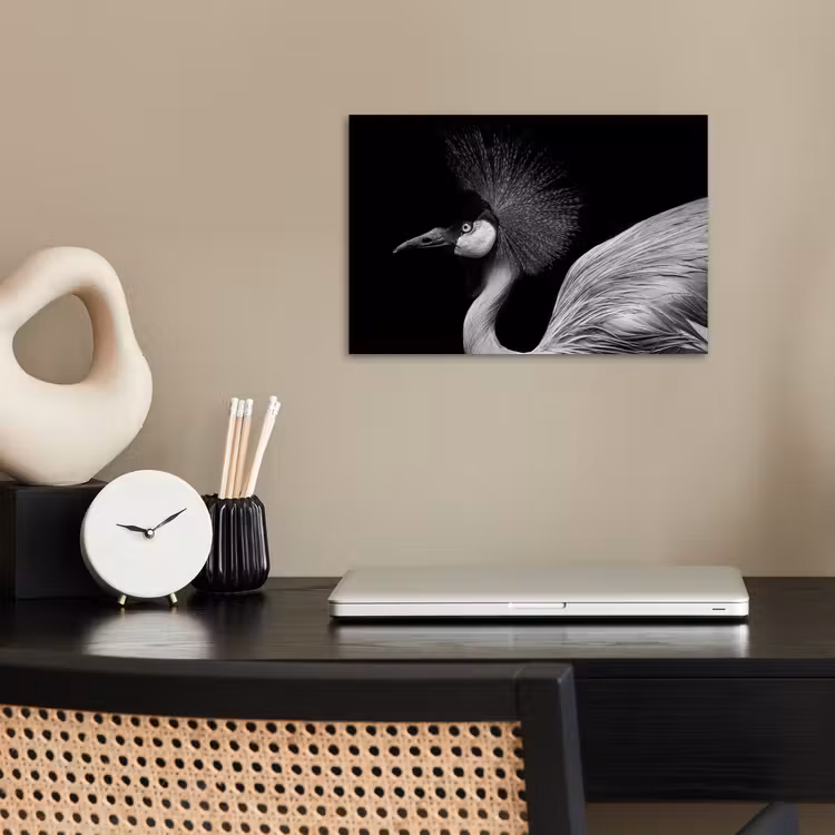 Poster - Kraanvogel - Zwart - Wit - Vogel - Dieren — 2