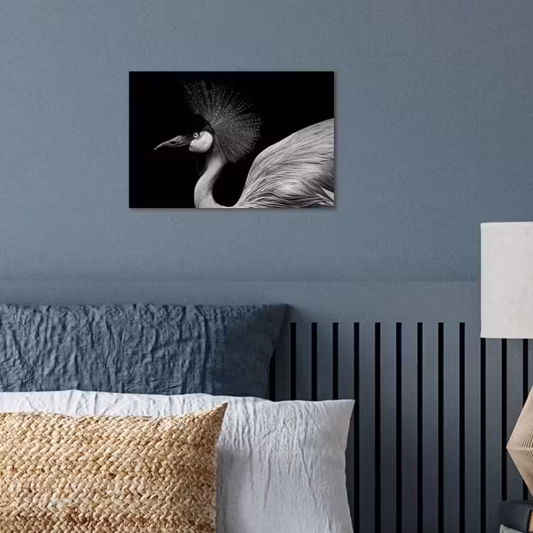 Poster - Kraanvogel - Zwart - Wit - Vogel - Dieren — 3