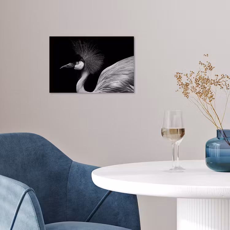 Poster - Kraanvogel - Zwart - Wit - Vogel - Dieren — 4