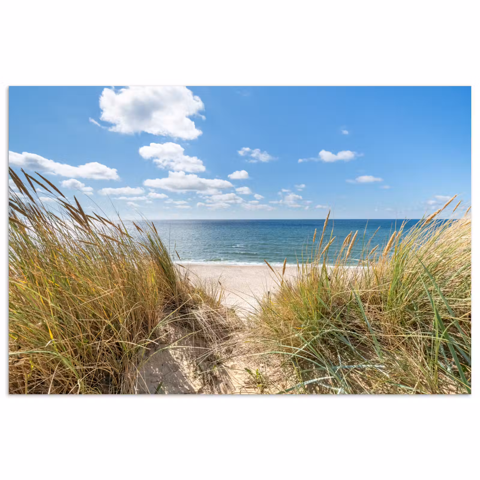 Poster - Duin - Gras - Zee - Strand — 1
