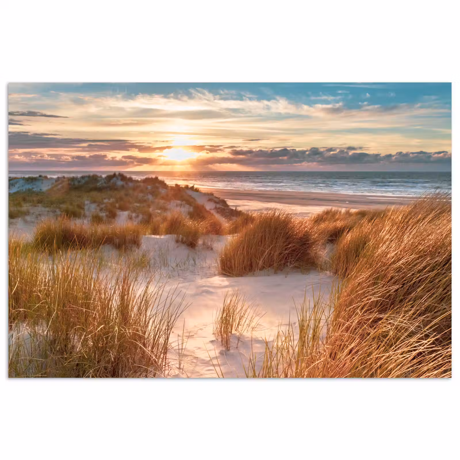 Poster - Duin - Planten - Zonsondergang - Strand - Zee — 1