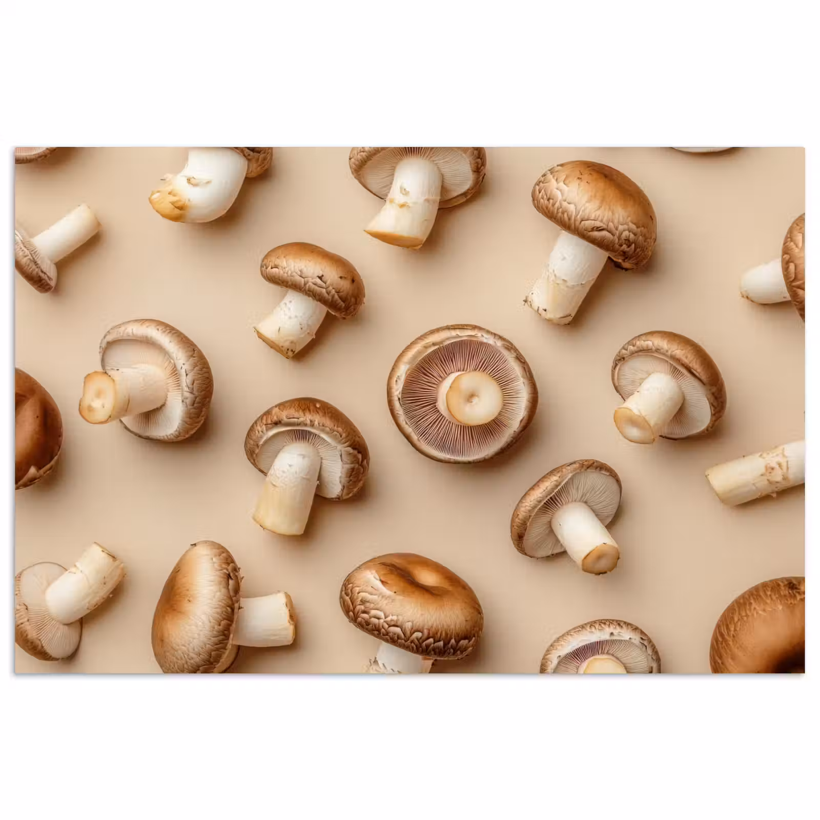 Poster - Kastanje Champignons - Beige — 1