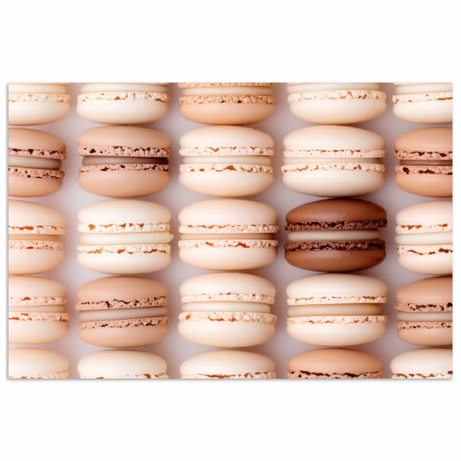 Poster - Macarons - Beige - Bruin — 1