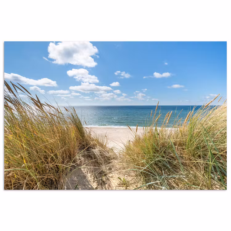 Poster - Duin - Gras - Zee - Strand — 1