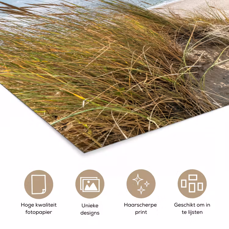Poster - Duin - Gras - Zee - Strand — 5