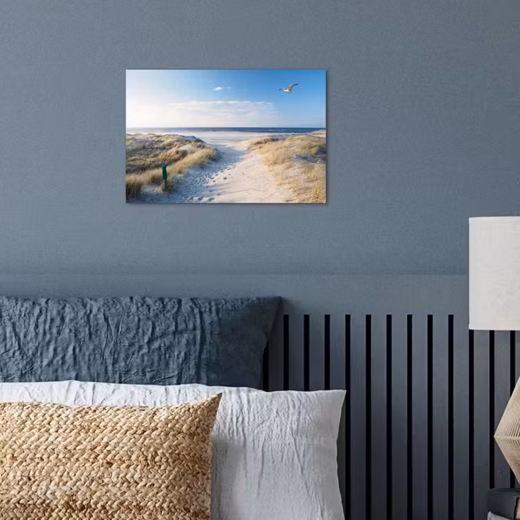 Poster - Duin - Meeuw - Strand - Zee - Zon — 3