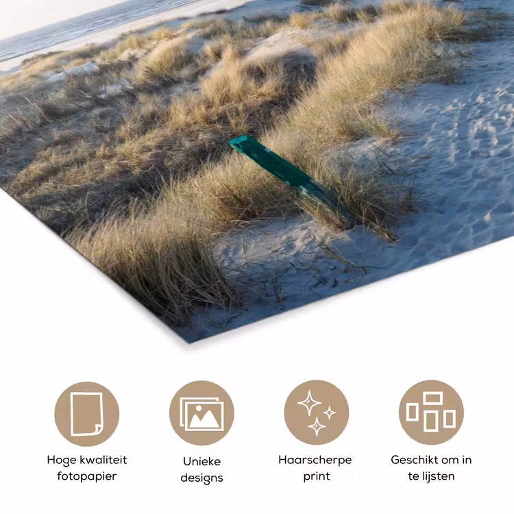 Poster - Duin - Meeuw - Strand - Zee - Zon — 5