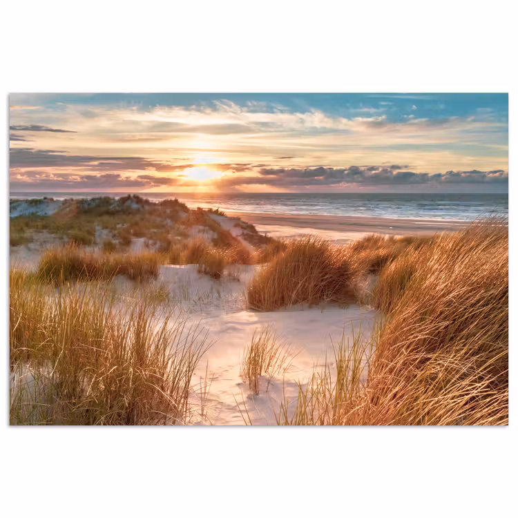 Poster - Duin - Planten - Zonsondergang - Strand - Zee — 1
