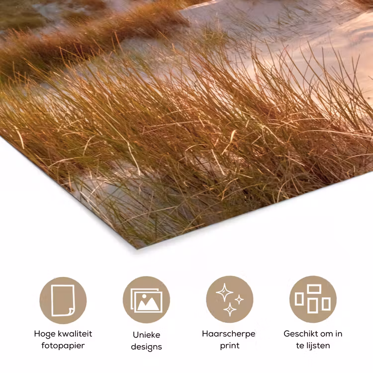 Poster - Duin - Planten - Zonsondergang - Strand - Zee — 5