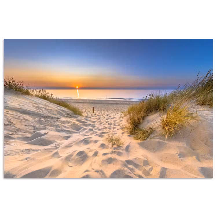Poster - Duin - Zonsondergang - Horizon - Strand - Gras — 1
