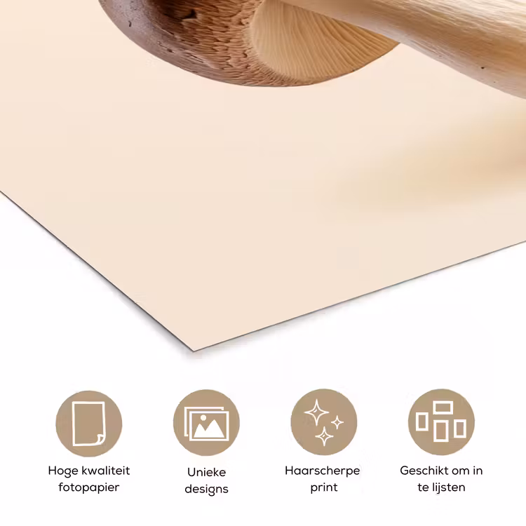 Poster - Champignons - Zacht - Beige — 5