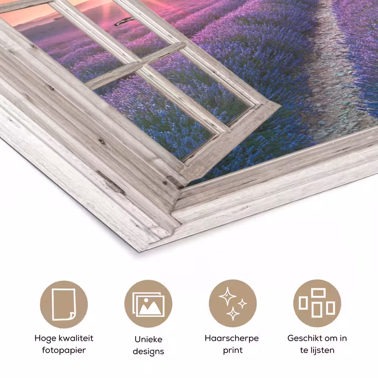 Poster - Doorkijk - Lavendel - Bloemen - Hout - Zonsondergang - Paars — 5