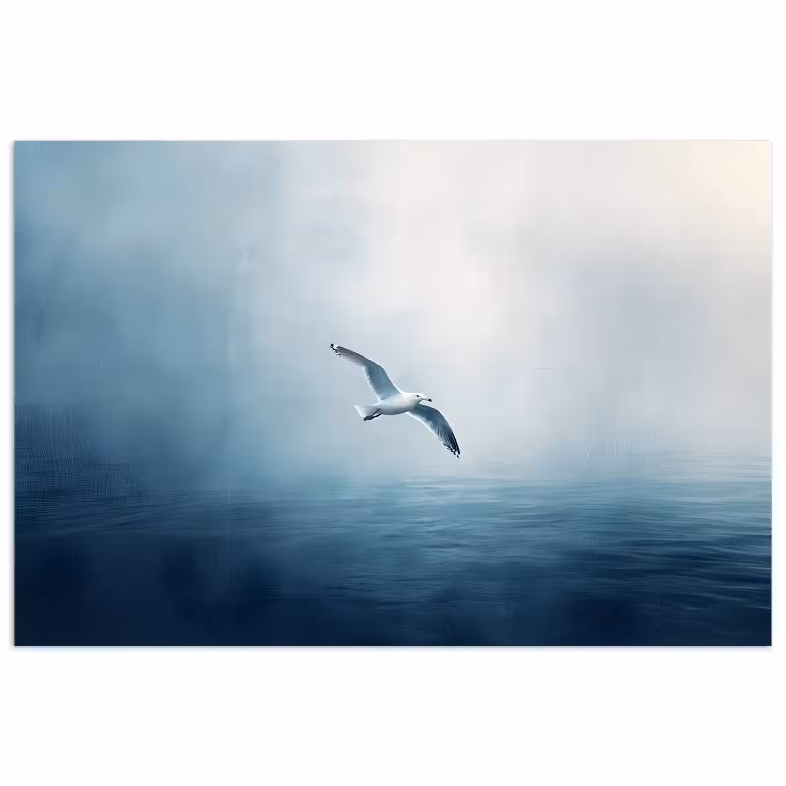 Poster - Meeuw - Wit - Zee - Mistig — 1