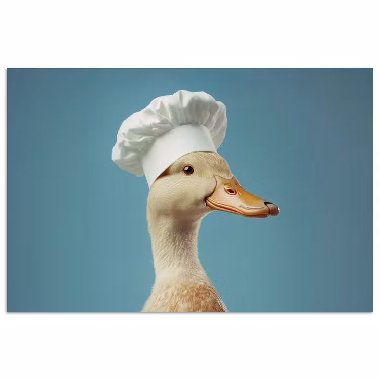 Poster - Eend - Koksmuts - Cute - Vogel — 1