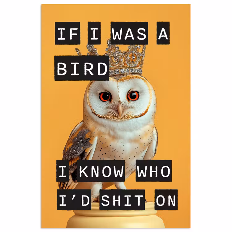 Poster - Geel - Uil - Vogel - Decoratie — 1