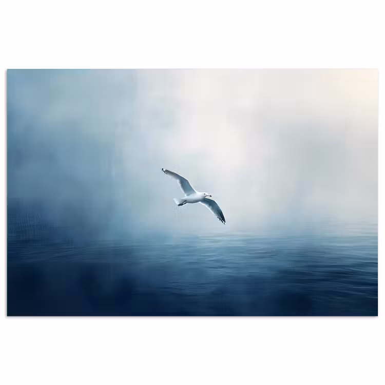 Poster - Meeuw - Wit - Zee - Mistig — 1