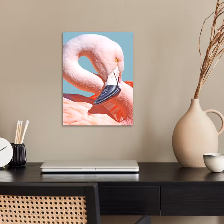 Poster - Close-up flamingo — 2
