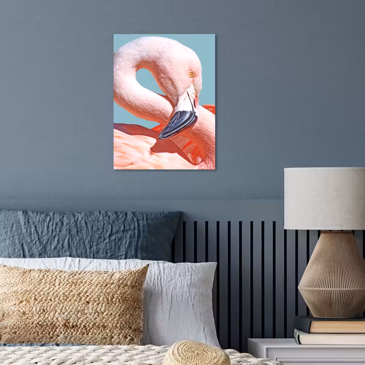Poster - Close-up flamingo — 3