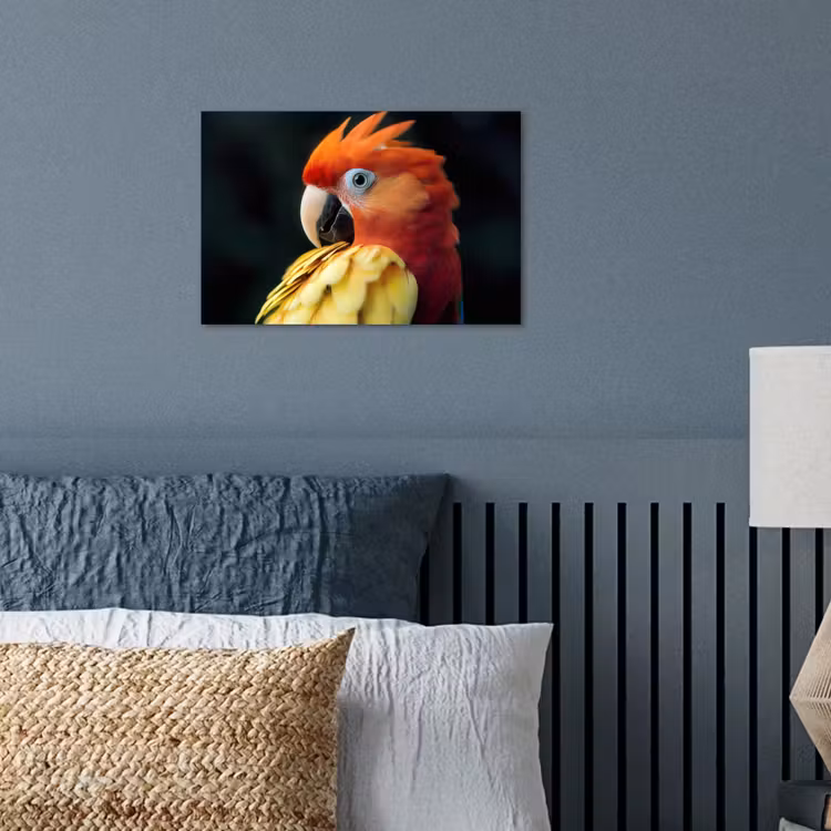 Poster - Close-up - Papegaai - Veren - Oranje — 3