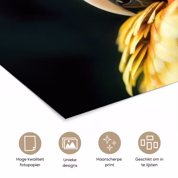 Poster - Close-up - Papegaai - Veren - Oranje — 5