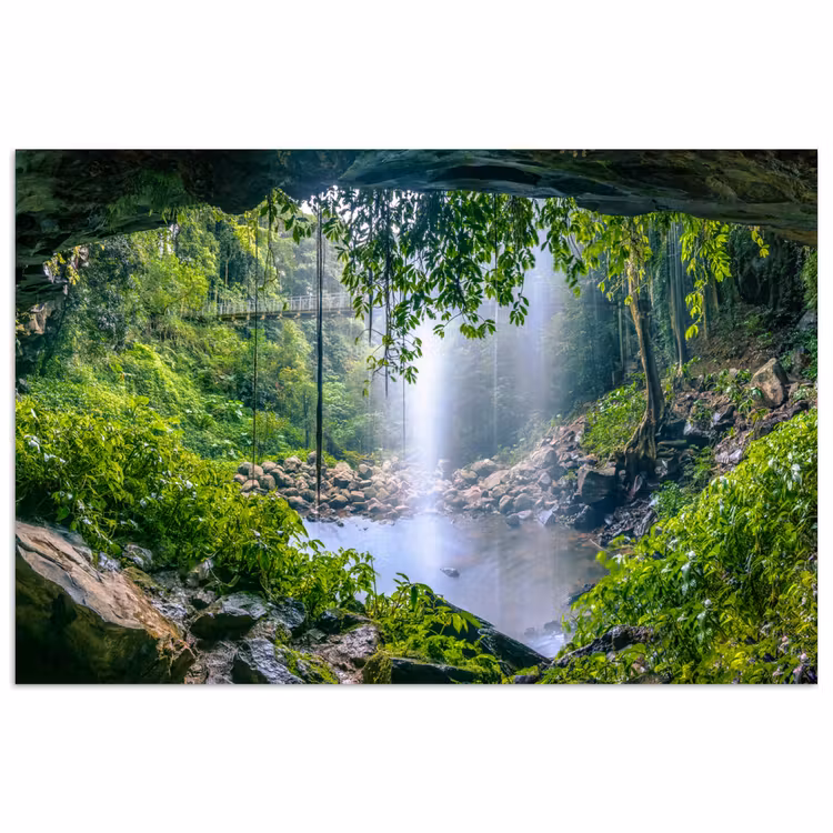 Poster - Jungle - Regenwoud - Water - Waterval - Planten — 1