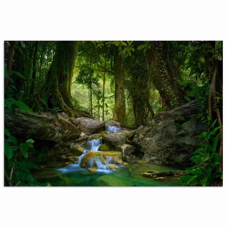 Poster - Jungle - Stenen - Water - Natuur - Planten — 1