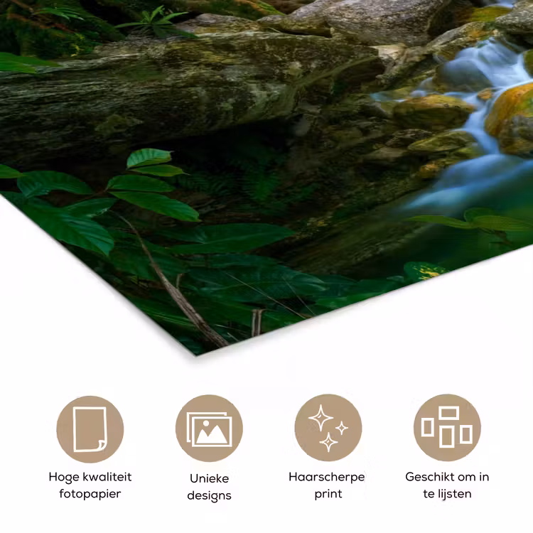 Poster - Jungle - Stenen - Water - Natuur - Planten — 5
