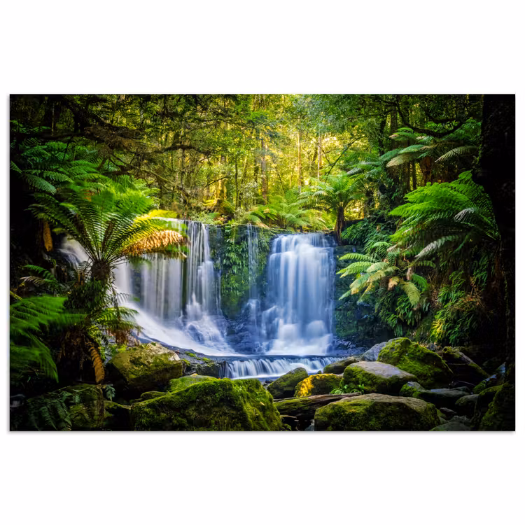 Poster - Jungle - Waterval - Australië - Planten - Natuur — 1