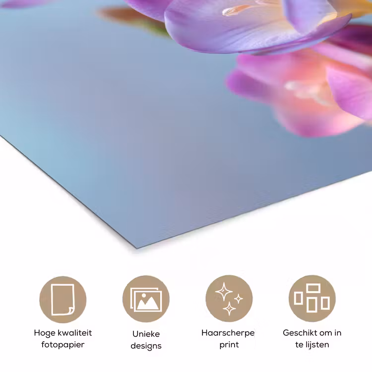 Poster - Bloemen - Paars - Overloop - Meeldraden — 5