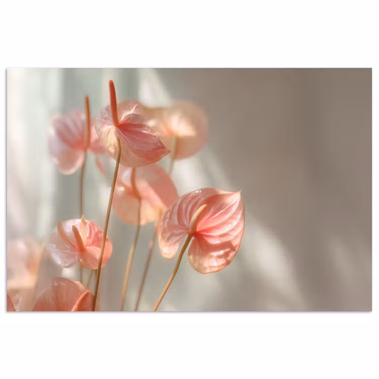 Poster - Bloemen - Stelen - Roze - Schaduw — 1