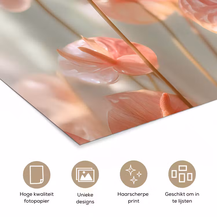 Poster - Bloemen - Stelen - Roze - Schaduw — 5