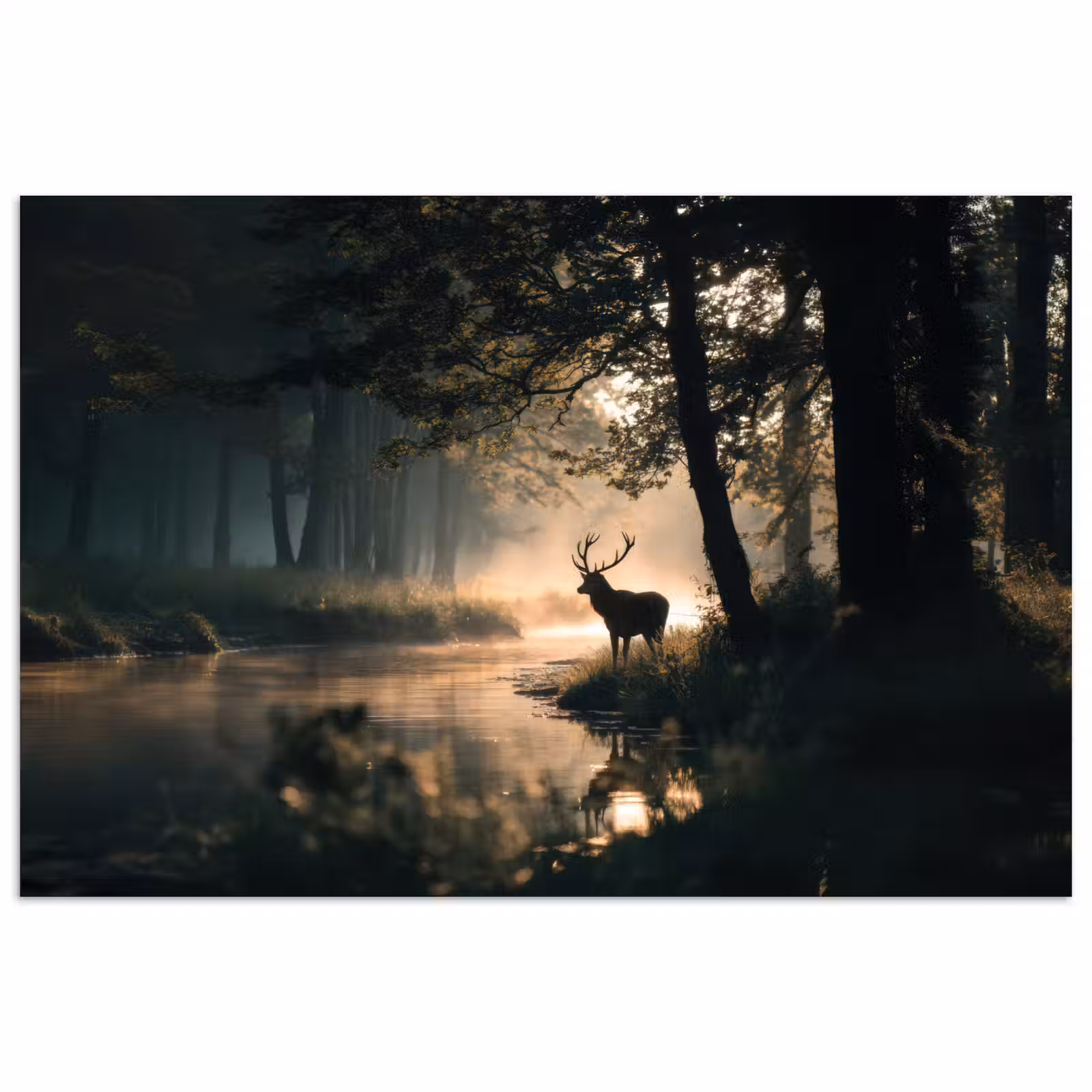 Poster - Hert - Bosbeek - Mystiek — 1