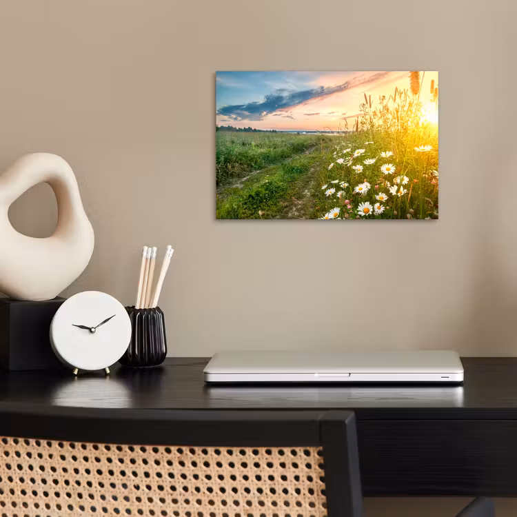 Poster - Bloemen - Madelief - Natuur - Zon - Horizon — 2