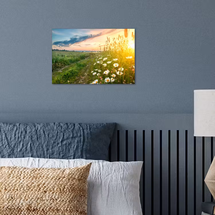 Poster - Bloemen - Madelief - Natuur - Zon - Horizon — 3