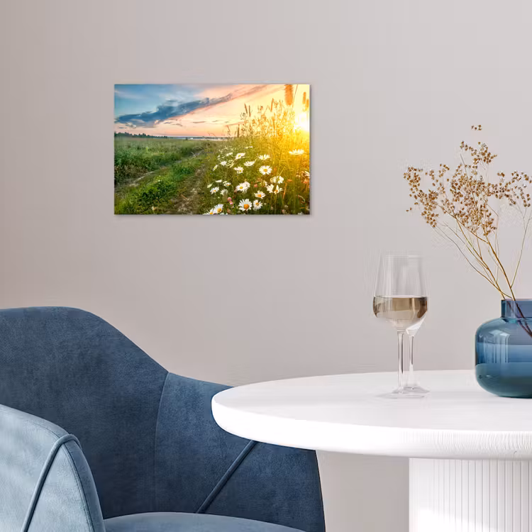 Poster - Bloemen - Madelief - Natuur - Zon - Horizon — 4