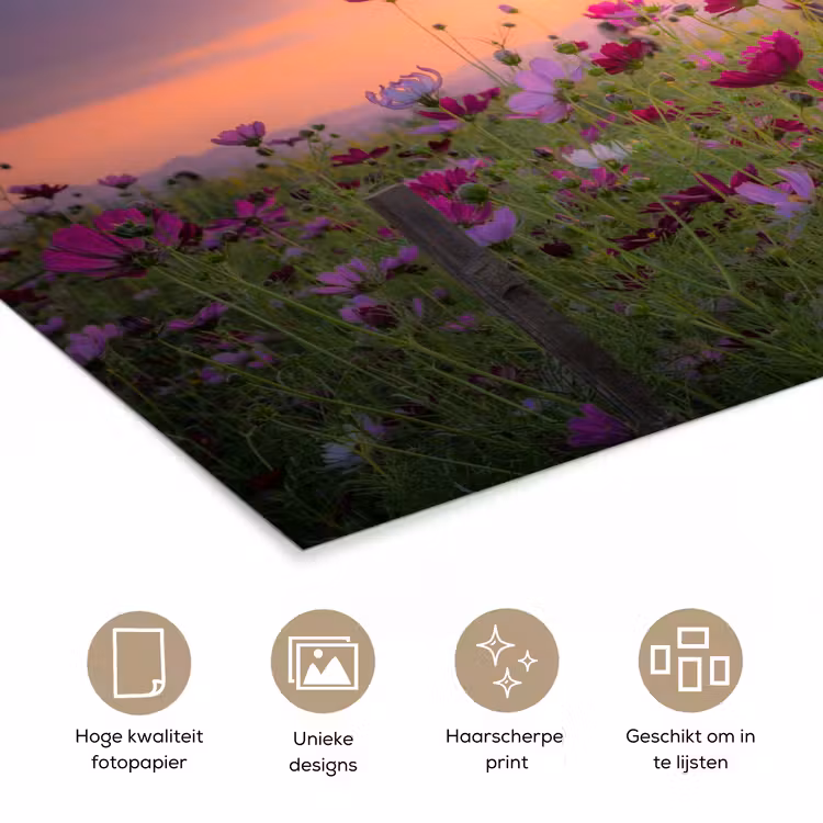 Poster - Bloemen - Roze - Zonsondergang - Natuur - Weide - Horizon — 5