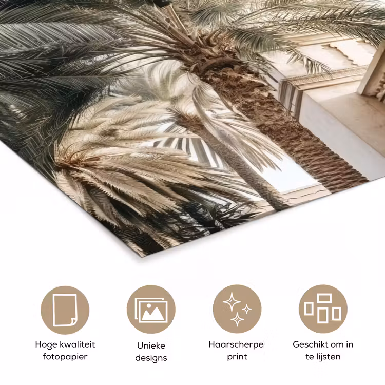 Poster - Gebouw - Palmbomen - Beige - Zon — 5