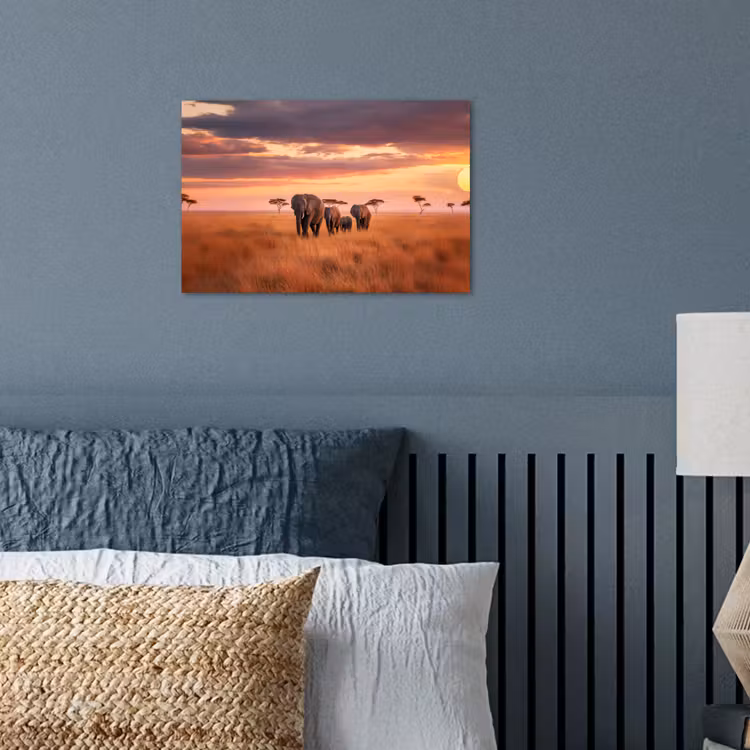 Poster - Groep olifanten - Open vlakte - Zon — 3
