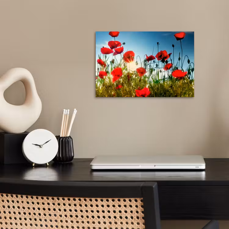 Poster - Klaprozen - Toscane - Zon - Rood - Blauw — 2