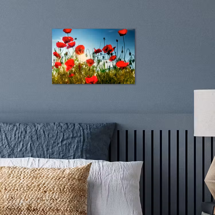 Poster - Klaprozen - Toscane - Zon - Rood - Blauw — 3