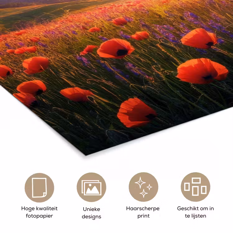 Poster - Landschap - Zonsondergang - Bloemenveld — 5