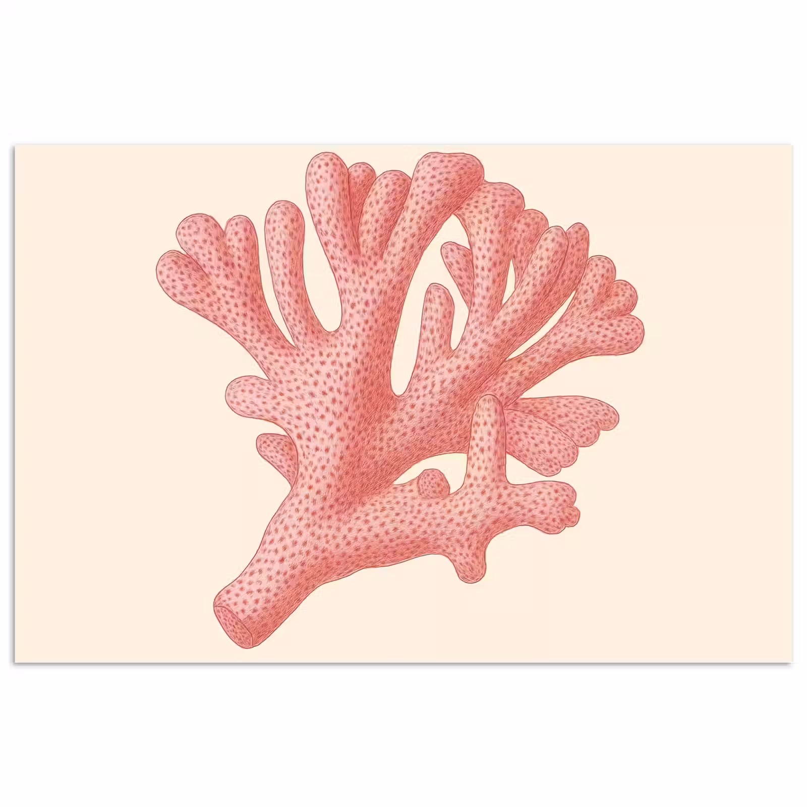 Poster - Koraal - Stipjes - Roze — 1