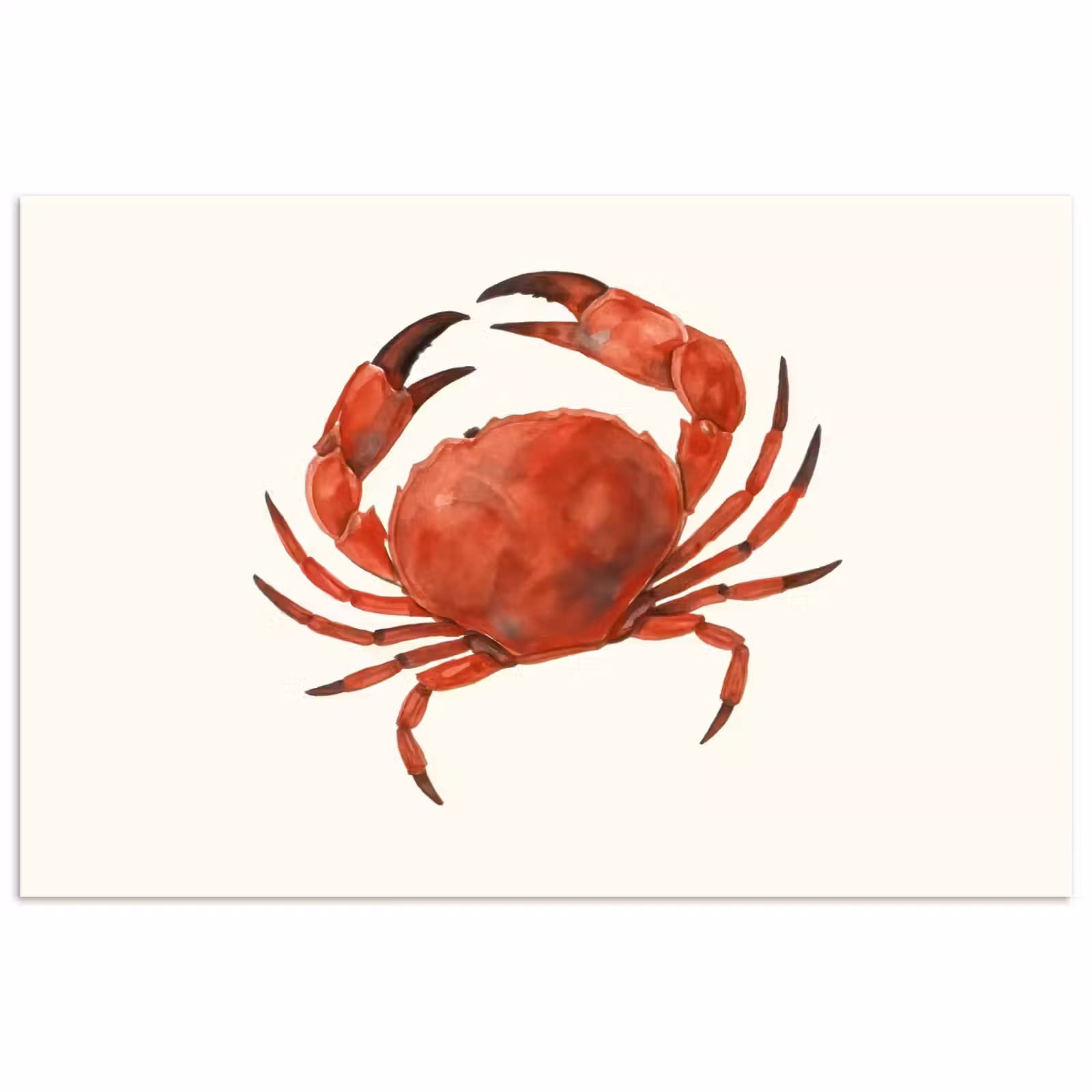 Poster - Krab - Felrood - Poten — 1