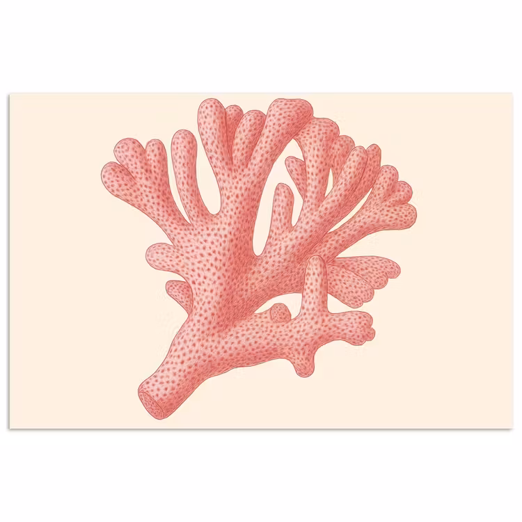 Poster - Koraal - Stipjes - Roze — 1