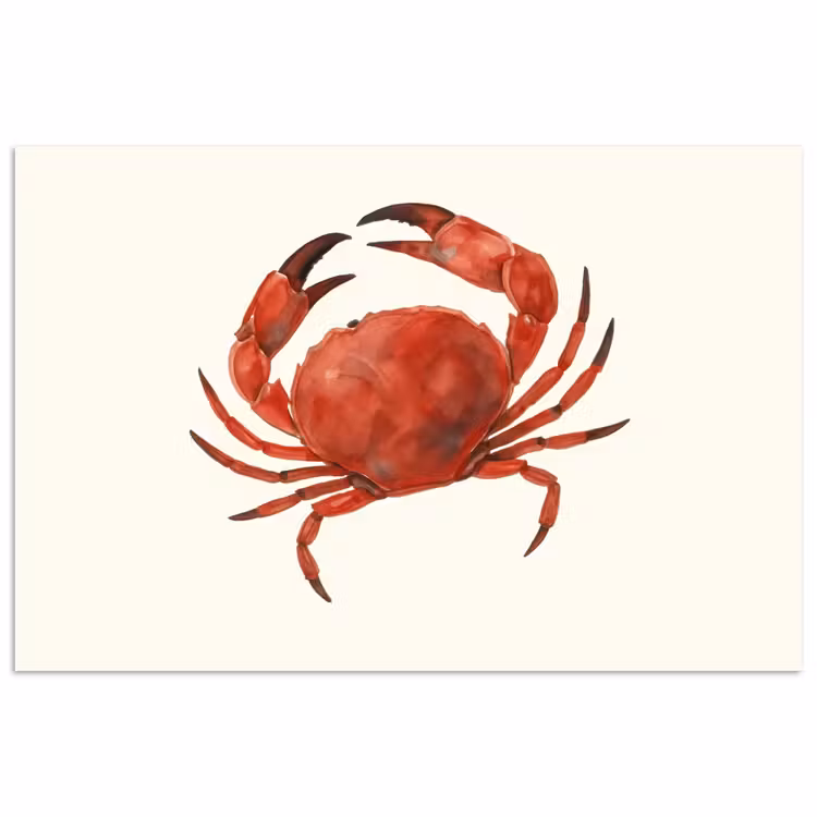 Poster - Krab - Felrood - Poten — 1
