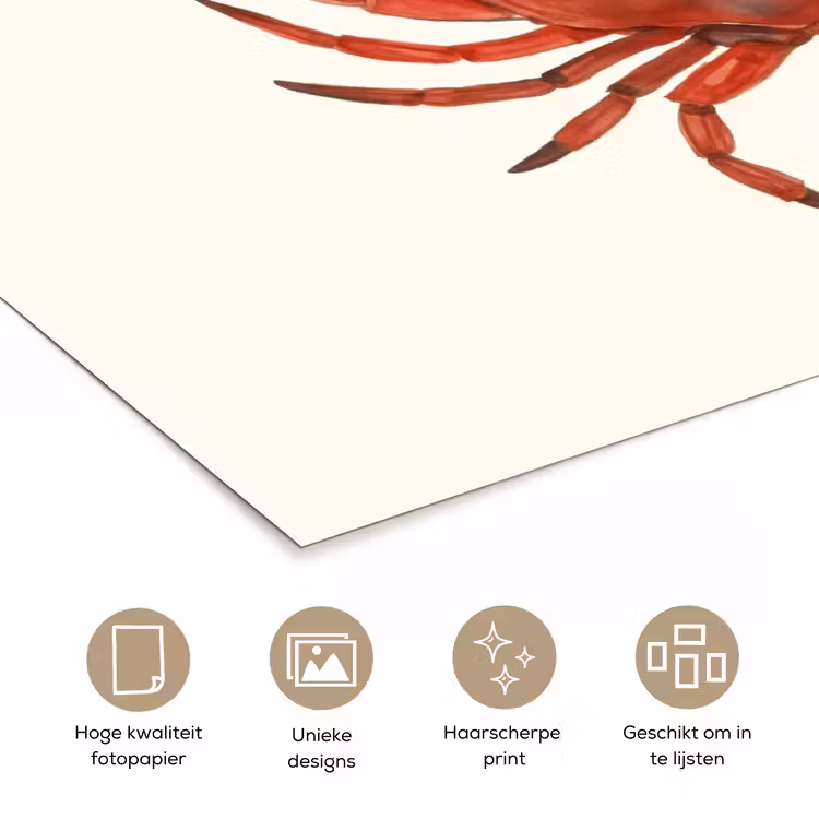 Poster - Krab - Felrood - Poten — 5