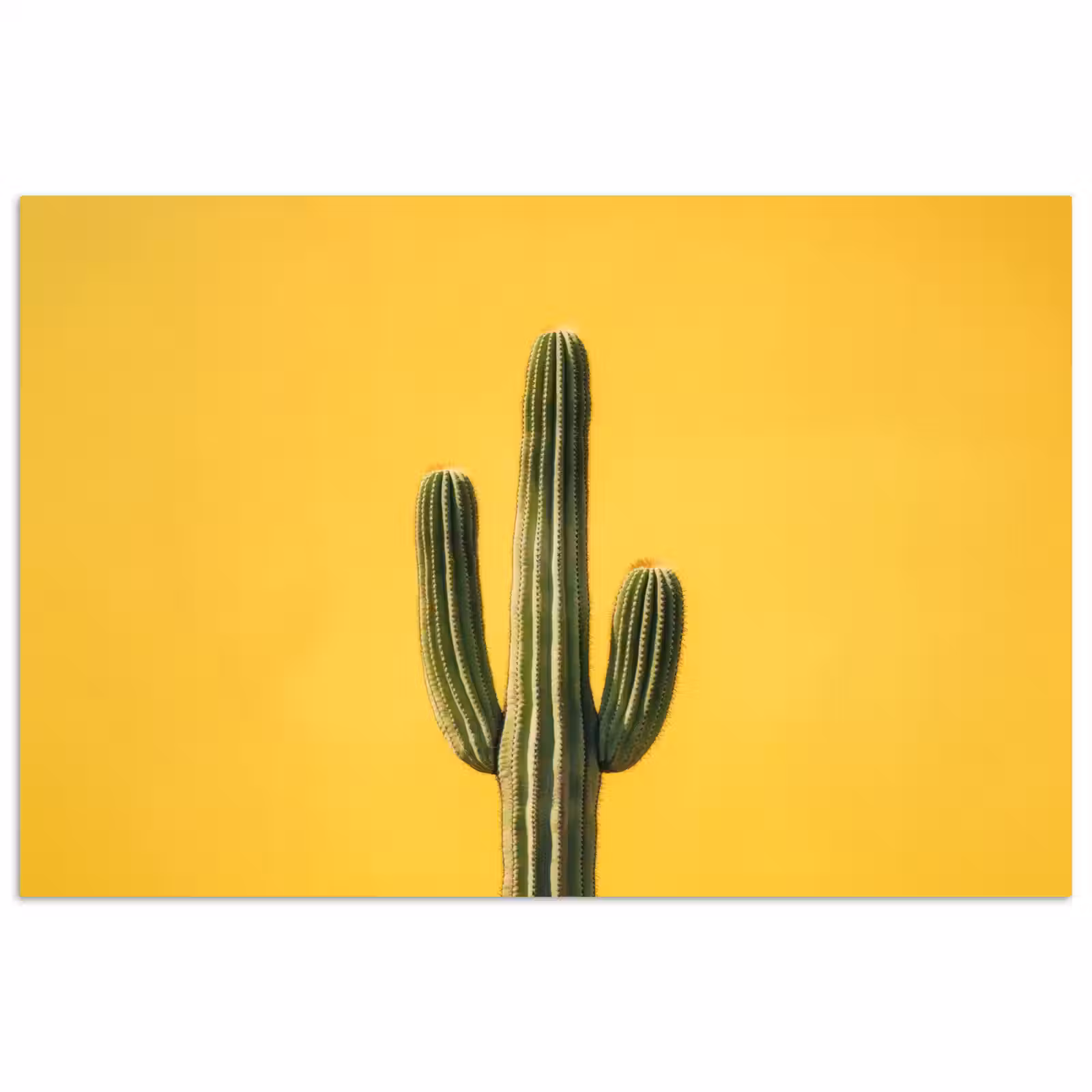 Poster - Cactus - Groen - Minimalistisch — 1