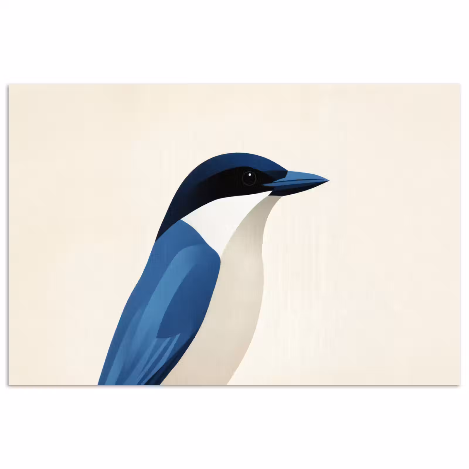 Poster - Illustratie - Blauw - Vogel — 1
