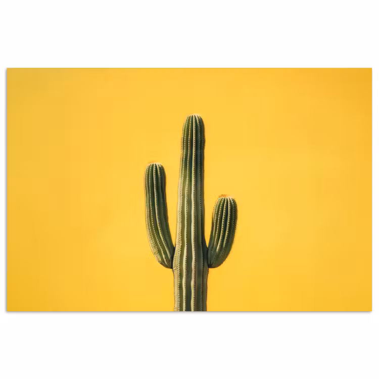Poster - Cactus - Groen - Minimalistisch — 1
