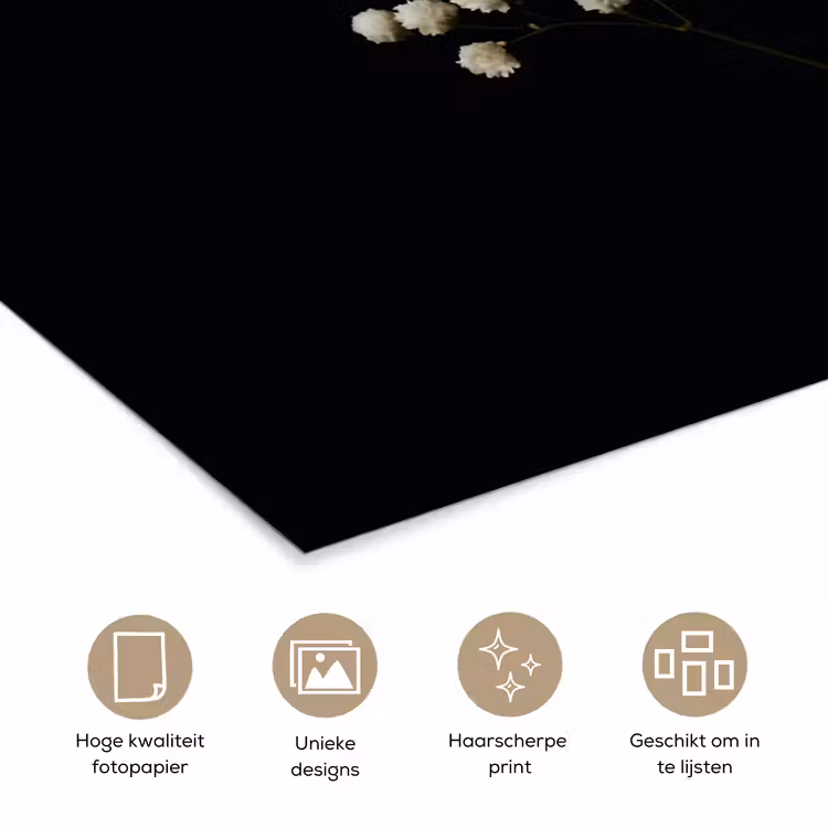 Poster - Gipskruid - Bloemetjes - Wit - Minimalistisch — 5